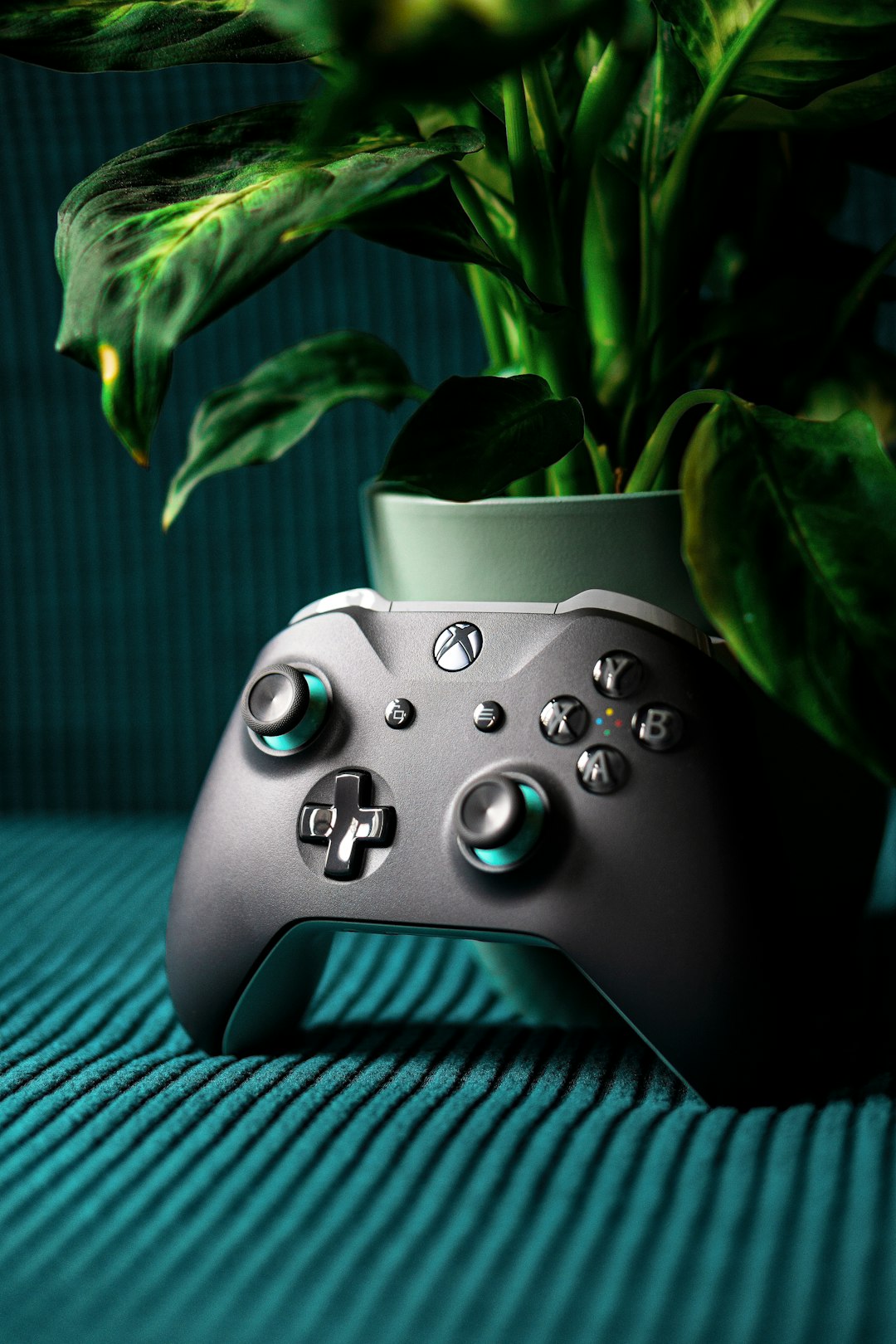 CS2 Pro Controller